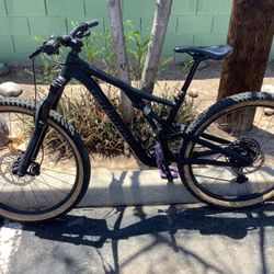 Specialized Stumpjumper Soft Tail MTB