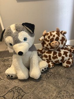 Stuffed Animals