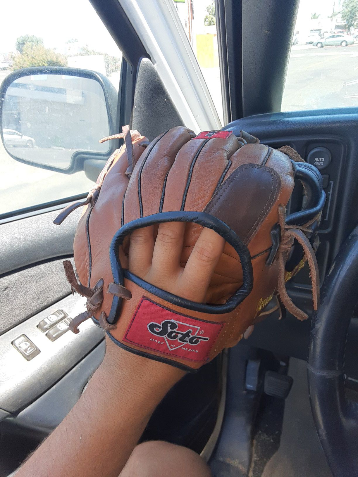 Soto custom baseball glove