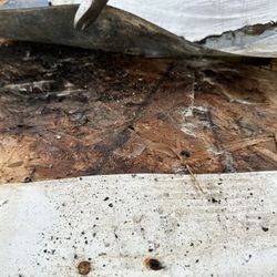 Install Roof