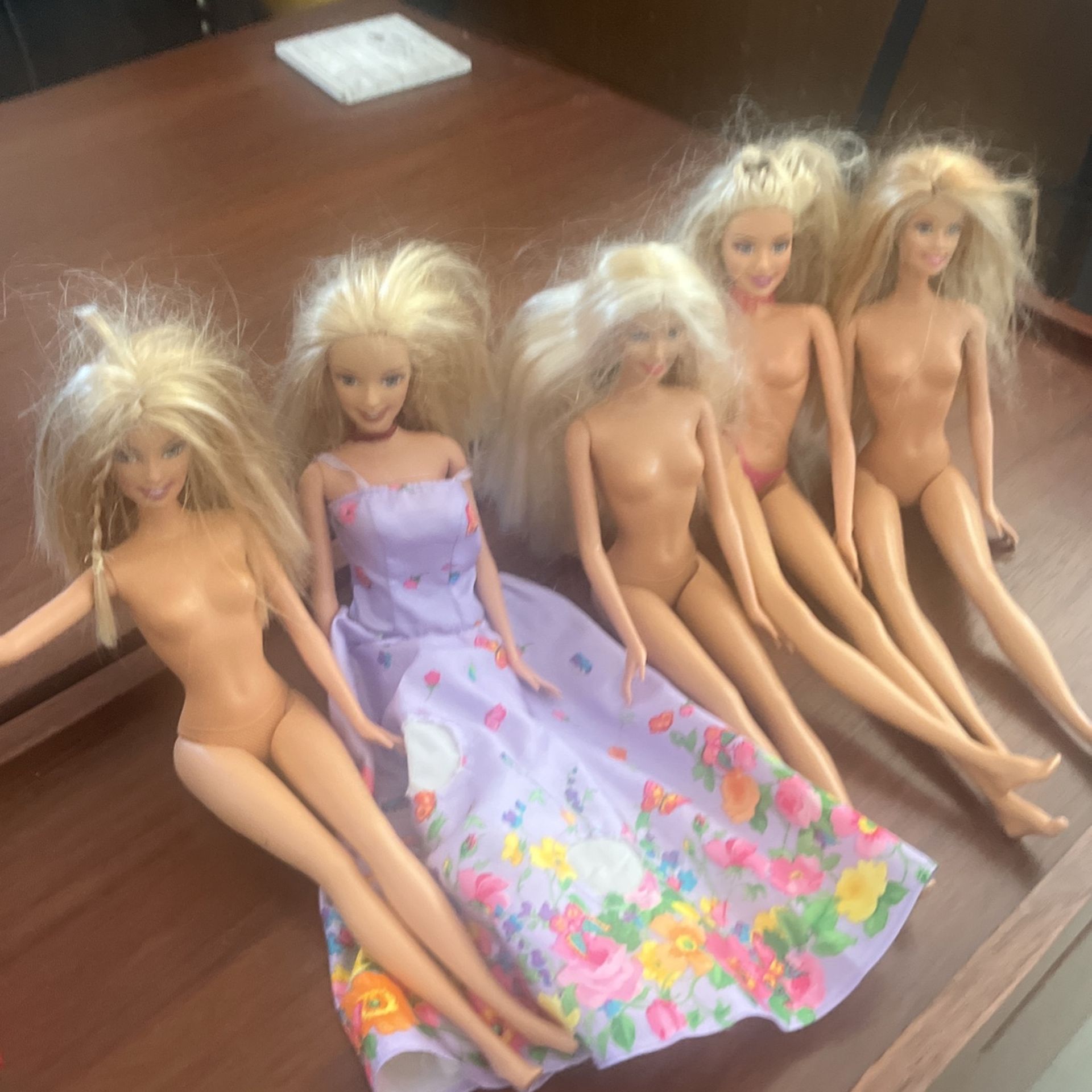 5 Barbies , Clothes, Miscellaneous