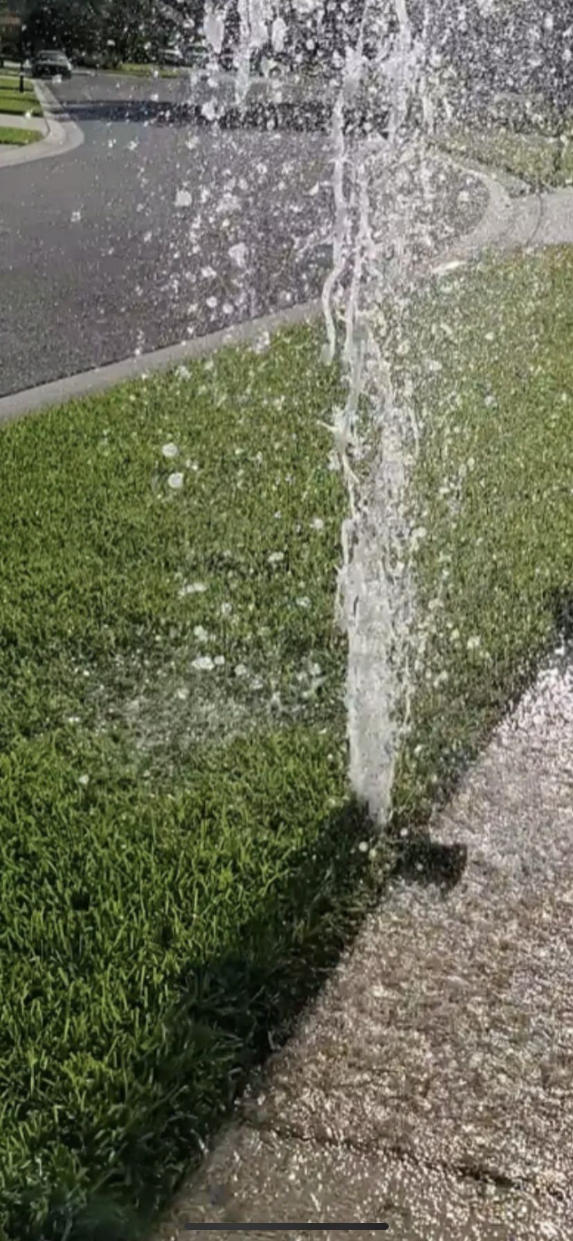 Landscape Irrigation /sprinklers 