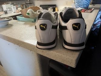 Puma Roma