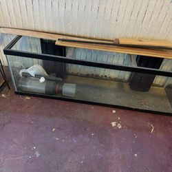 Aquarium - Fish Tank