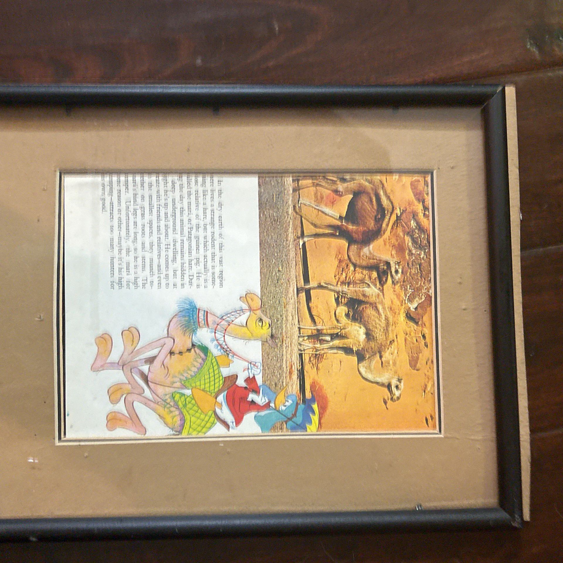 Donald Duck Rides A Camel Very Cute Picture 8 X 10 In Frame
