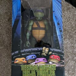 Teenage Mutant Ninja Turtles