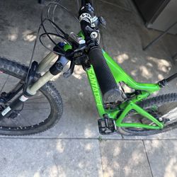 Santa Cruz Bronson