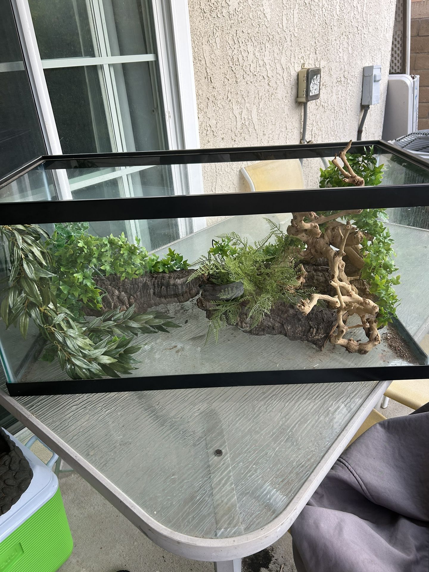 Reptile Tank 