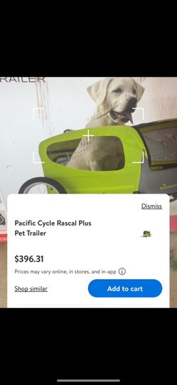 Pet Trailer 