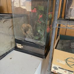 Multiple Reptile Cages And Accessories 