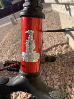 20” Raleigh Rowdy Mtb