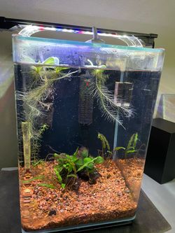 Marineland Portrait 5 Gallon Aquarium