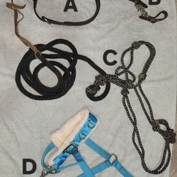 Halters, Nose Bands, Chin Strap