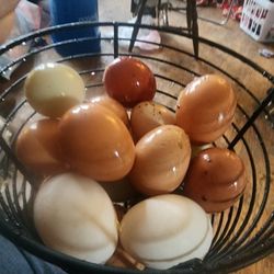 Fresh Eggs