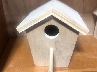 Strong Bird 🦅 House