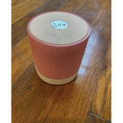 Bluetooth Speaker