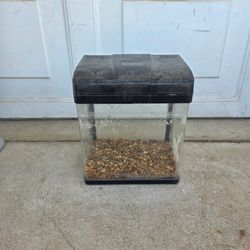 Small fish tank