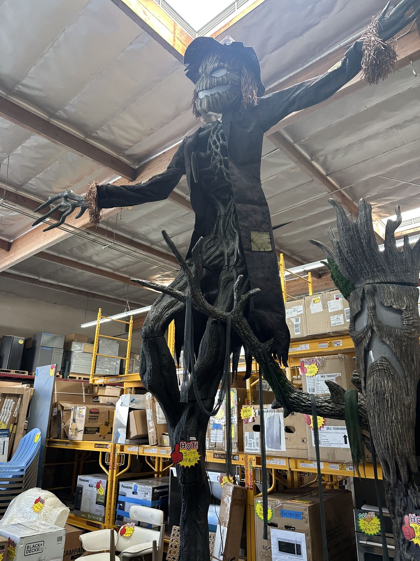 Halloween Decorations! NEW!