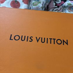 Louis Vuitton Slides