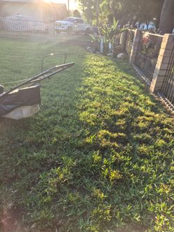 😎😎🤠 landscaping let me get it done