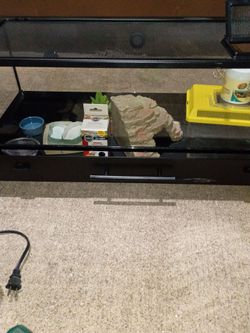 Reptile Terrarium glass 20 gallon