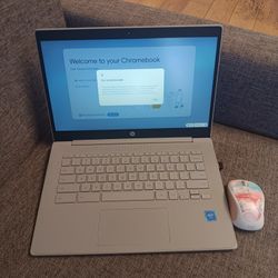 HP Chromebook 