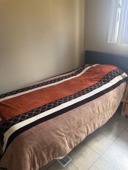 Bed Frame, Mattress, Bunkie Board