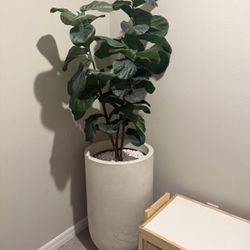 Artificial Plant With Pot