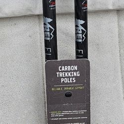 REI Flash Carbon Trekking Poles