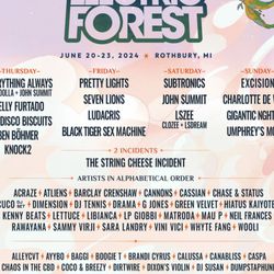 electric forest wristband 