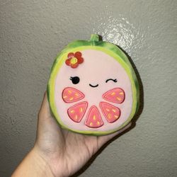 Watermelon Squishmallow