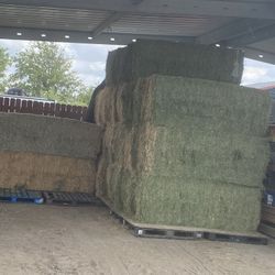 3x3x8 Alfalfa $230