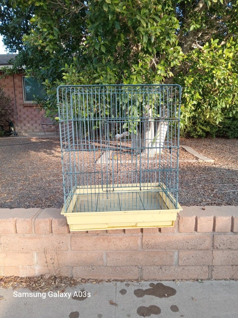 Cage BIRD CAGE
