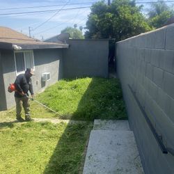 Jardinero