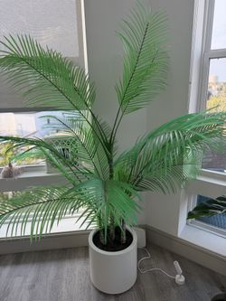 CG Hunter Artificial Palm in White Pot, Houston Pickup