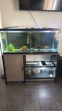 75 falling fish tank with stand
