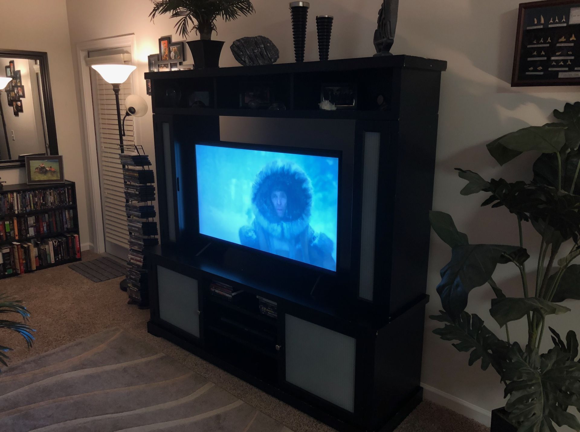 Entertainment Center