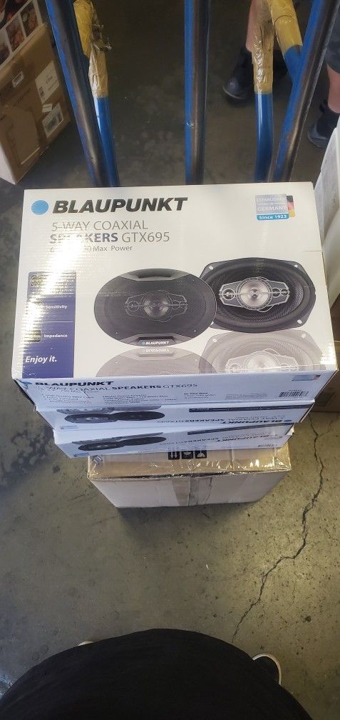 Blaupunkt 6x9 Door Speakers