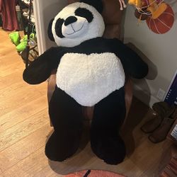 Giant Panda Bear