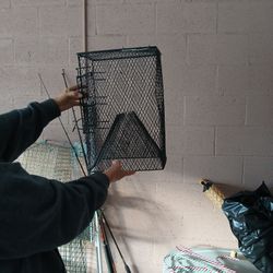 Fish Trap