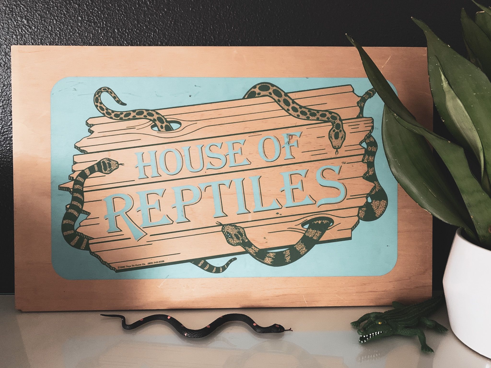 Vintage House of Reptiles Wood Advertising Toy Store Sign 1990 Boys Room Decor