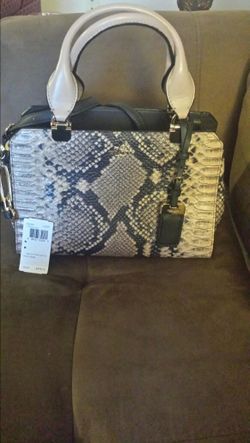 COACH python mini lexington
