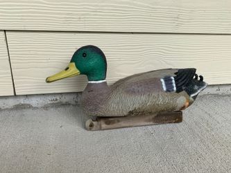 Male Mallard Duck Floating Decoy 🦆