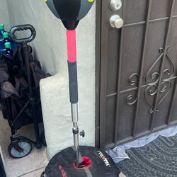 Speedbag Punching bag