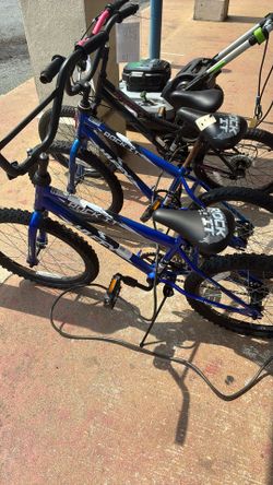 Bikes $39 Today !