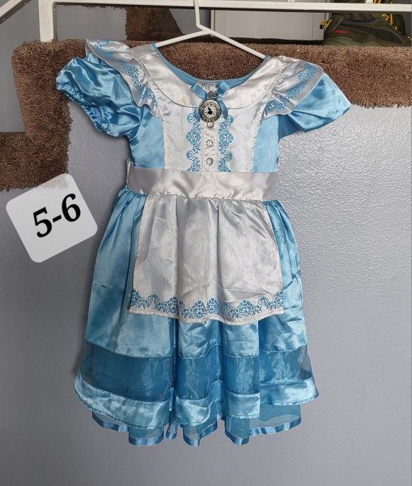 Disney Alice In Wonderland Costume