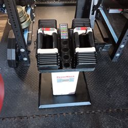Powerblock 80lb Dumbbell Set With Stand