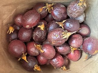 Passion fruit for sale 0.70 each