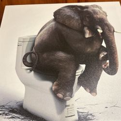 Elephant On Toilet  Canvas