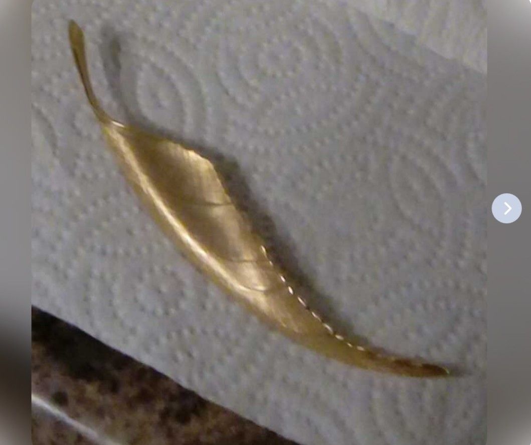 Vintage Giovanni Gold Tone Long Thin Leaf Brooch Pin. NOT REAL